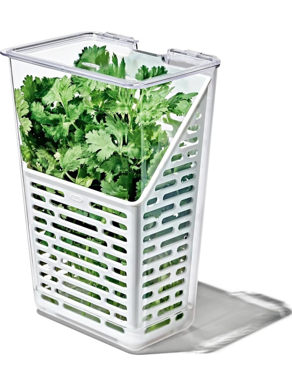 OXO White and Clear Herb Keeper for Refrigerator